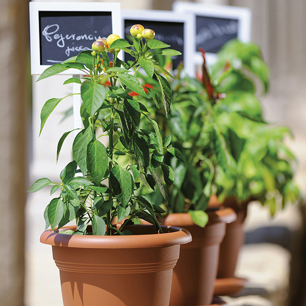 Піддон пластиковий Stefanplast Linea Mediterraneo 33 см круглий теракот (83330) 