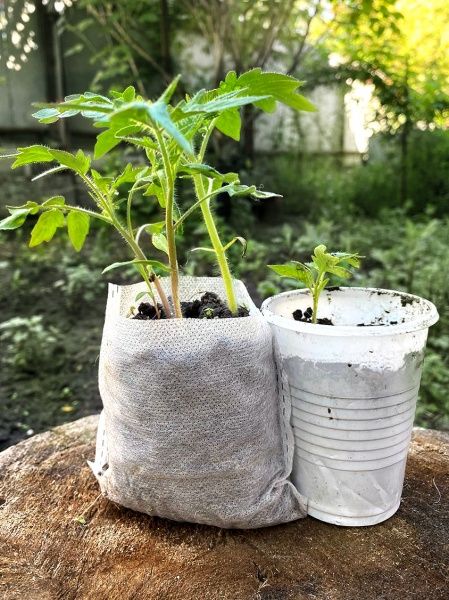 Мешочки для рассады Agrolife 29х30 см 20 шт.