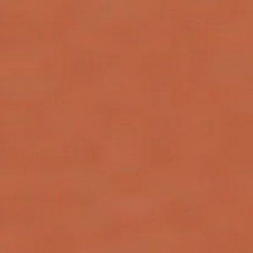 Рум'яна Radiant BLUSH COLOR №102 4 г