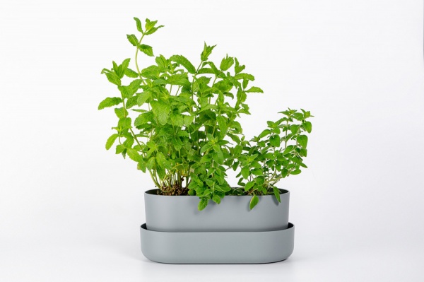 Вазон пластиковий Plastia з піддоном Tolita 29,5 см круглий 3,2 л сірий (1909783020R) 