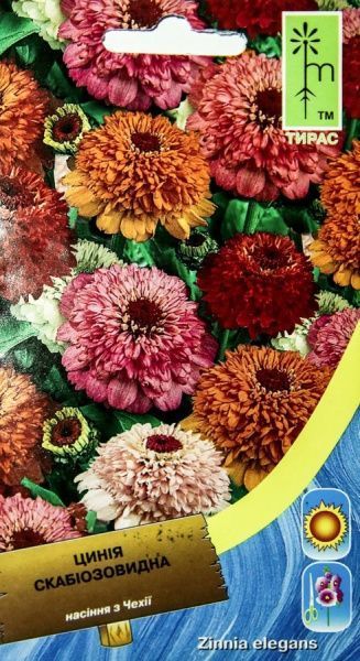 Насіння MoravoSeeds майорці скабіозовидна 0,7 г