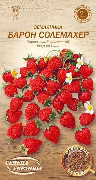 Семена Семена Украины земляника Барон Солемахер 660100 0,1 г