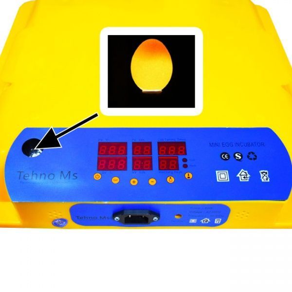 Инкубатор Инкубатор автоматический MS-56