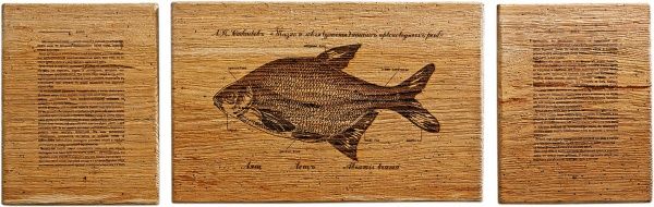 Картина Fish-Point тріптіх 