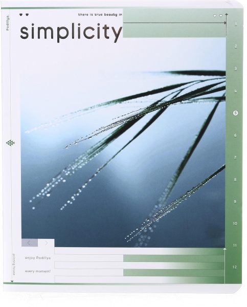 Тетрадь школьная 48 листов в клетку Айвори серия 4