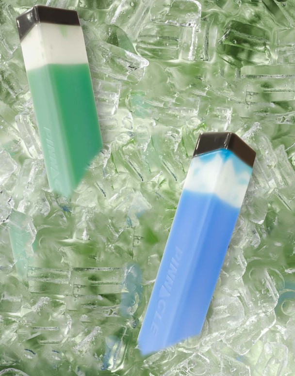 Набор аккумуляторов холода Pinnacle