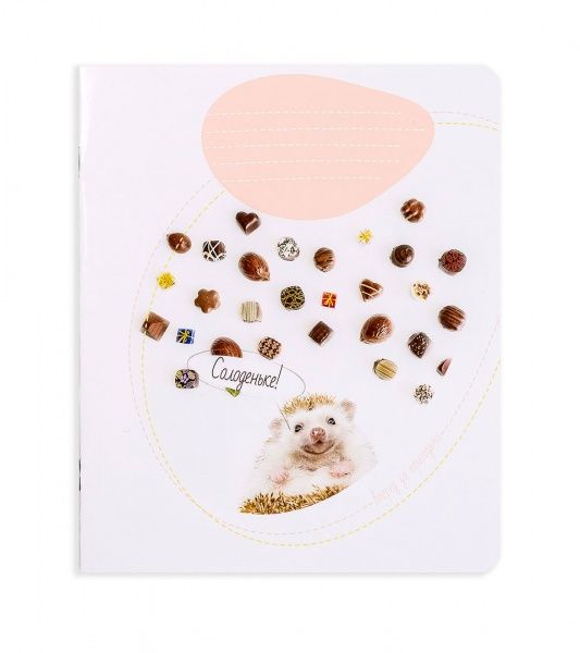 Комплект тетрадей Приключения ежика 12 листов в клетку 25 шт. Поділля