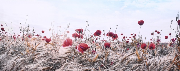 Картина Маковое поле 150x60 см Styler CA-13043 