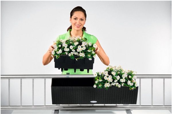 Ящик балконный Lechuza Balconera Cottage 80 прямоугольный 28,9л мокко (15615) 