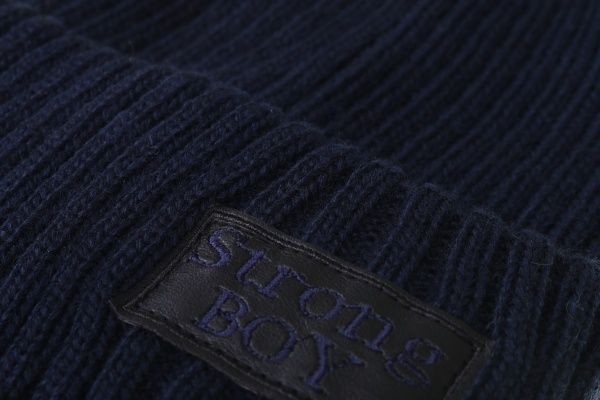 Шапка для мальчиков Pompona р.52-54 синий 20 Z P 109 