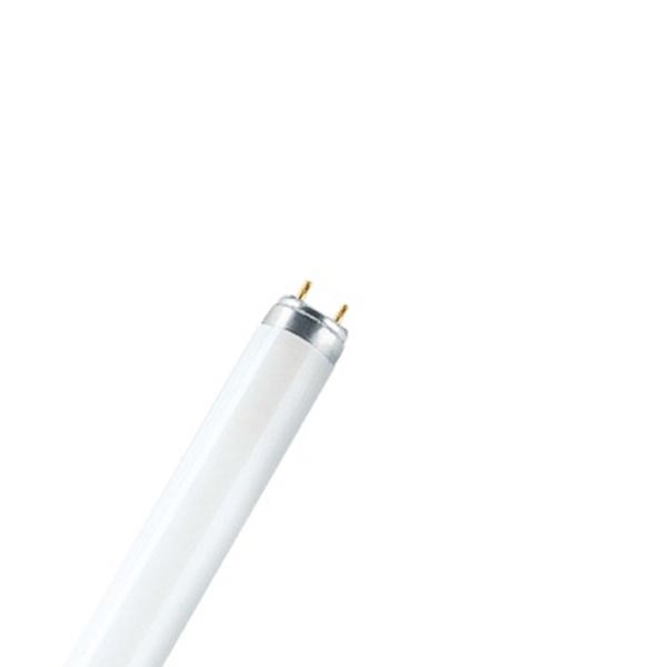 Лампа люмінесцентна для росту рослин Osram Fluora L T8 18 Вт G13 220 В матова (4050300004235) 