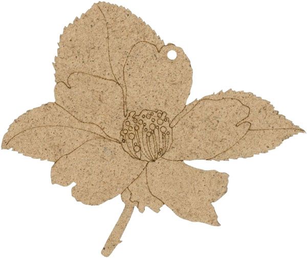 Заготовка Магнолія 10,5x9,5 см 5 шт. Rosa Talent 