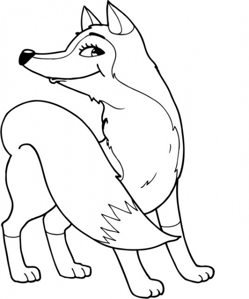 Раскраска Книжковий Хмарочос Лесная прогулка серия Посмотри и раскрась