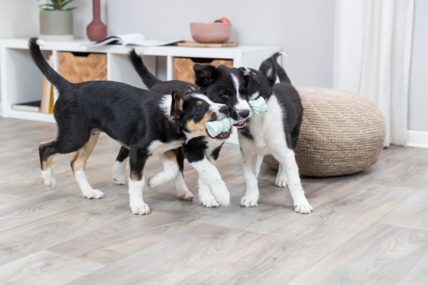 Игрушка Trixie для щенков Junior Канат со звуком латекс 15 см в ассортименте (35513)