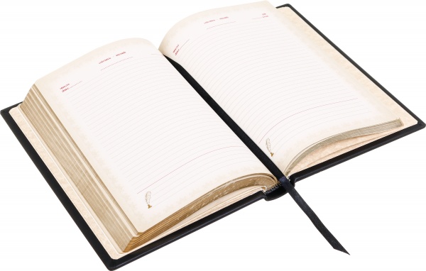 Щоденник недатований з тризубом у калиновому вінку Купола A5 304001069