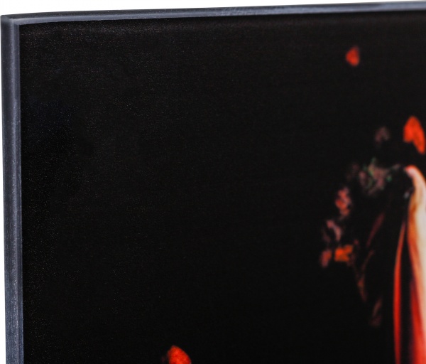 Картина на стекле Лео и цветок 80x120 см Styler GL-12641 