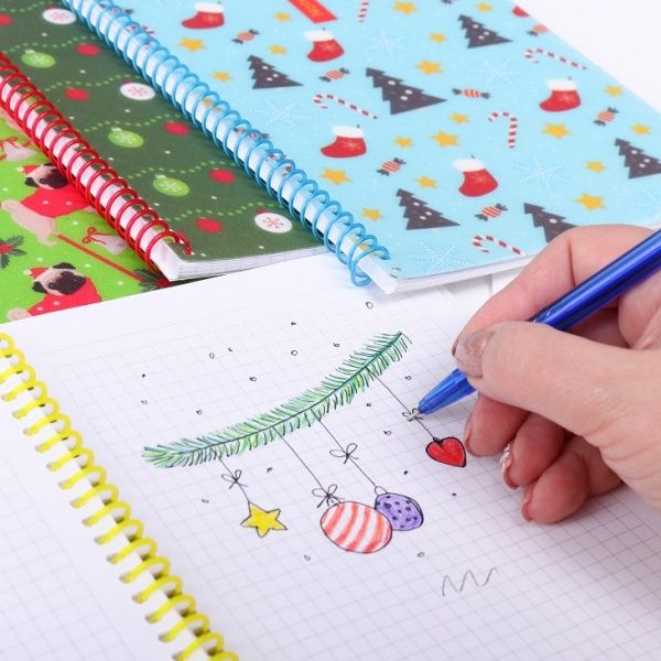 Блокнот Christmas: HoHoHo! А5 60 л. клетка E21950-03 Economix