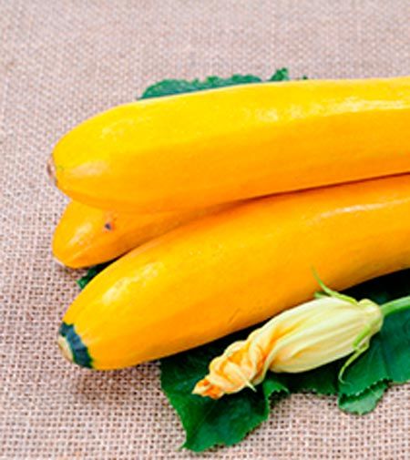 Насіння Садовий Світ кабачок Золотинка 3г