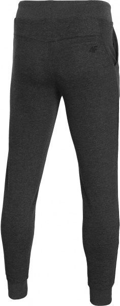 Брюки 4F NOSD4-SPMD301-23M р. M серый