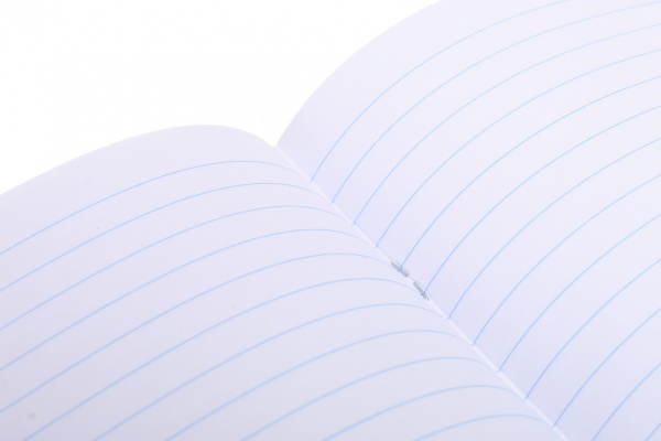 Тетрадь школьная 24 листа в линию УФ-лак в ассортименте