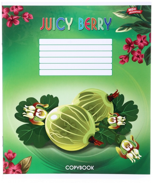 Тетрадь школьная 24 листа в линейку в ассортименте Мечты сбываются