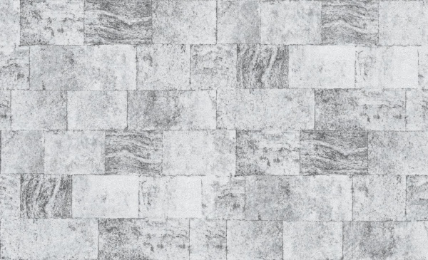 Шпалери вінілові на флізеліновій основі Bravo 81112BR00 1,06x10,05 м 