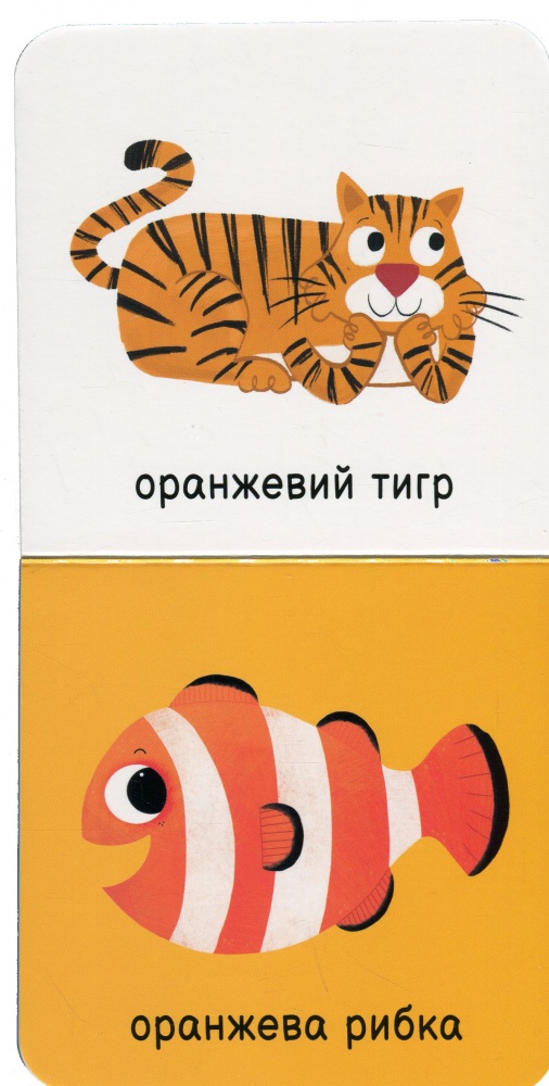 Книга «Мої кольори» 978-617-09-8958-1