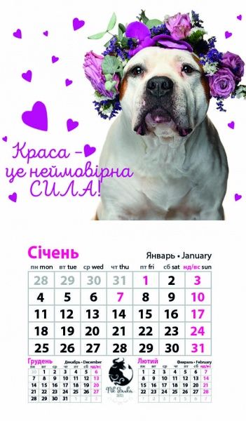 Календар «Магніт (20 видів) на 2021 год» 9786177308224