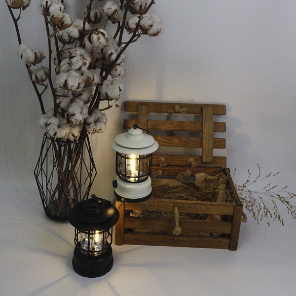 Ліхтар для кемпінгу Luna History/TL1 black