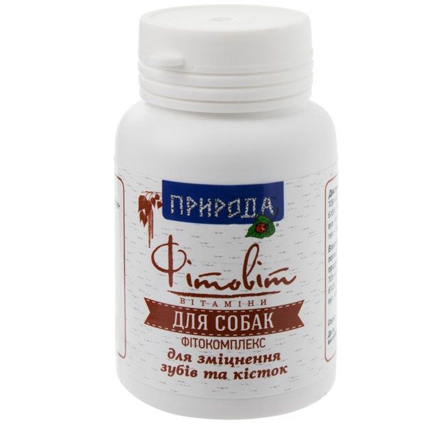 Фітокомплекс Природа ФітоВіт PR240103 100 табл. 