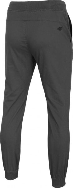 Брюки 4F D4Z20-SPMC300-24S р. XL серый