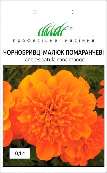Семена Професійне насіння бархатцы Малыш оранжевые 0,1 г
