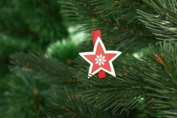 Прищепки декоративные 60580