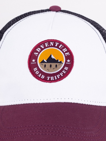 Кепка для хлопчиків YO! р.56-60 біло-фіолетовий CZD-0661F 