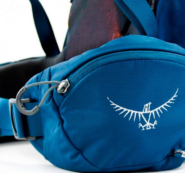 Рюкзак Osprey Kestrel 009.1868 38 л зелений