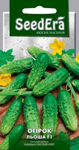 Насіння Seedera огірок Льоша F1 0,5г