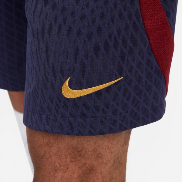 Шорты Nike PSG DF STRK SHORT KZ DX3193-498 р. L синий