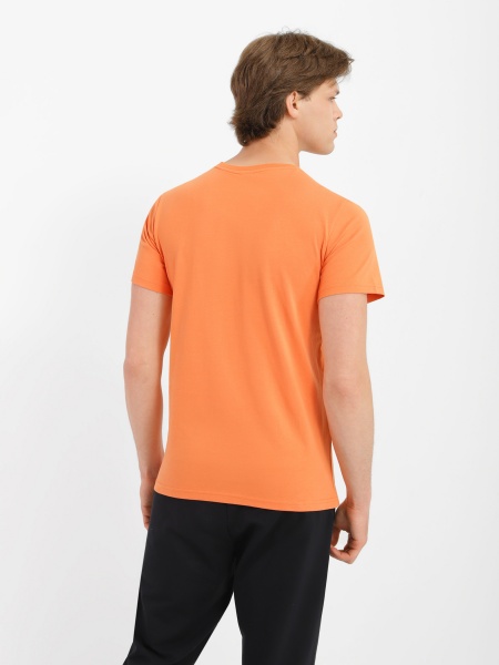 Футболка чоловіча Роза 201234 р.L помаранчевий