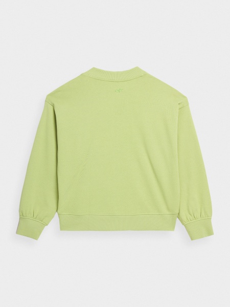 Світшот 4F SWEATSHIRT 4FSS23TSWSF598-42S р. XL зелений