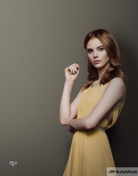 Шпалери вінілові на паперовій основі AdaWall Alfa 3701-2 1,06x15,6 м 