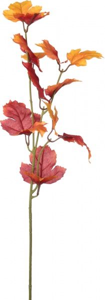 Рослина штучна Клен