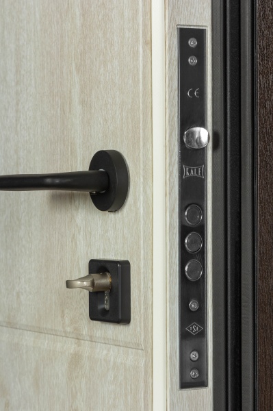 Двері вхідні Revolut Doors В-82 (квадро) Гладка 191 венге темний / дуб полярний 2050x850 мм праві