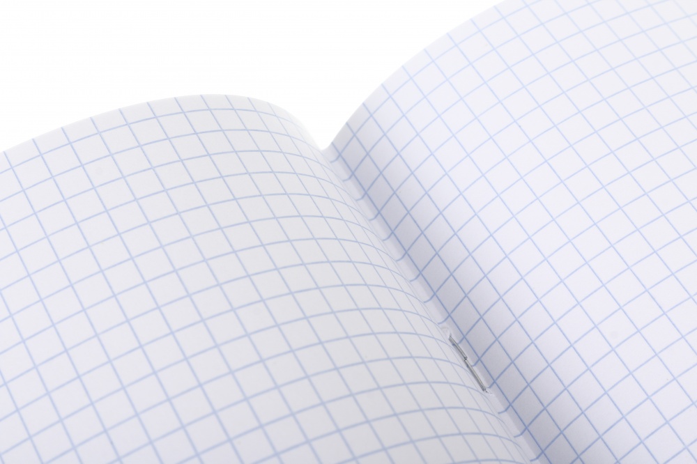 Тетрадь школьная Capybara_25 24 листа в клеточку Nota Bene