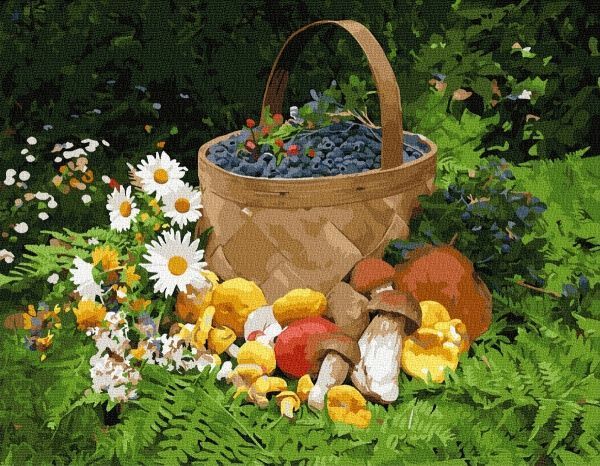 Картина за номерами Дари лісу BookOpt 