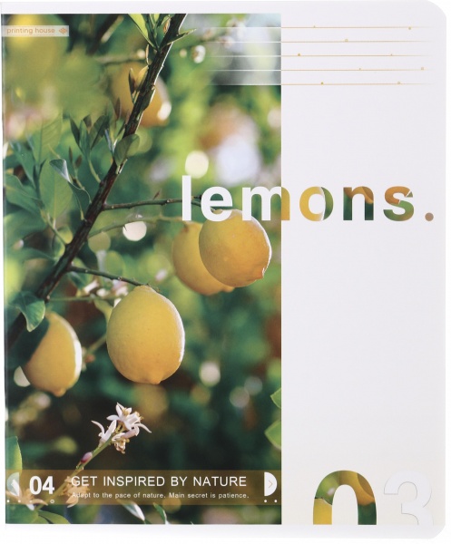 Тетрадь школьная Американская мечта 60 листов в линию Поділля