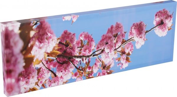 Репродукция Романтизм, 828-12 80x28 см 