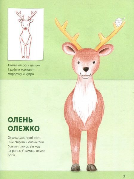 Альбом для рисования «Рисуем животных: Европа и Азия» 978-966-74-8270-1