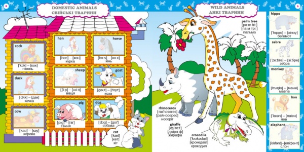 Книга «Вивчаємо English» 978-617-09-7464-8