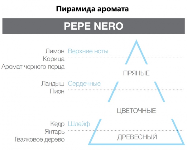 Аромадифузор Hypno Casa Аромодифузор Prima аромат PEPE NERO 100 мл 