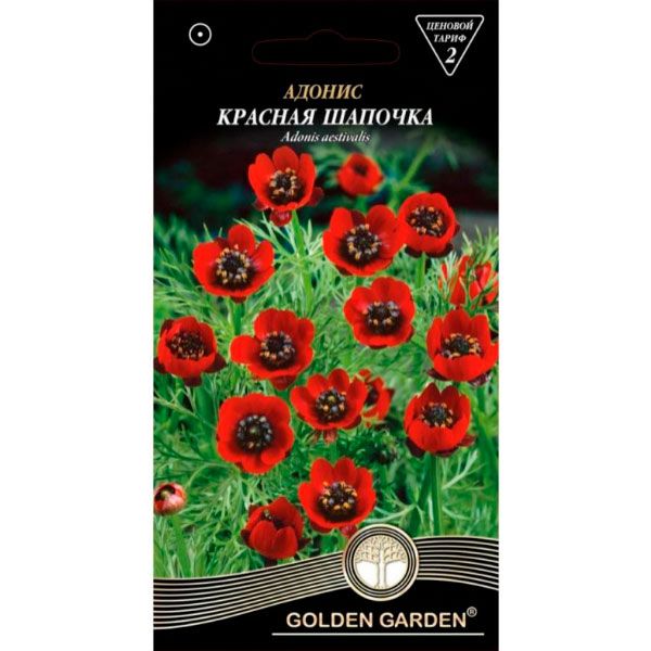 Насіння Golden Garden адоніс Червона шапочка 1 г